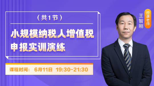小规模纳税人增值税申报实训演练