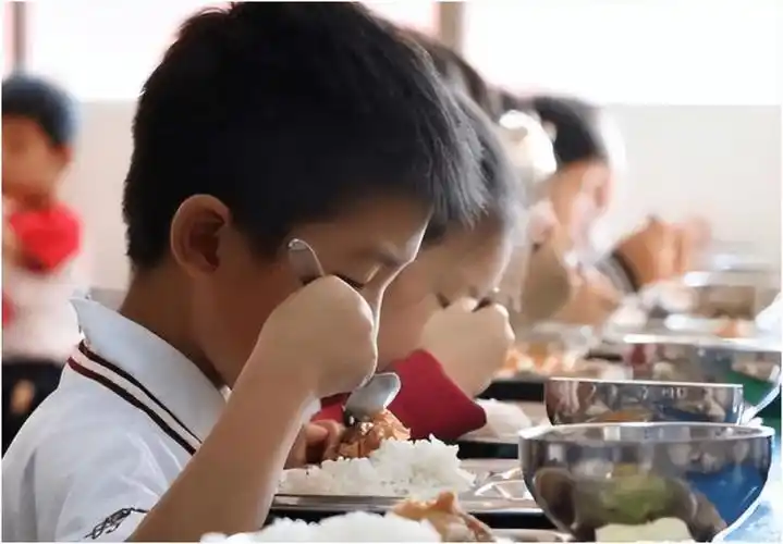 陕西印发中小学、幼儿园集中用餐管理办法 预制菜不能有