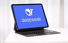DeepSeek付费课热销，真有料还是割韭菜？