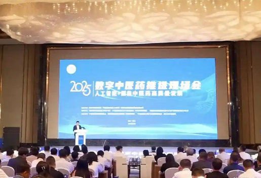 2025年数字中医药推进现场会召开