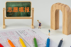 上海2025年本科普通批次平行志愿相关投档分数线公布